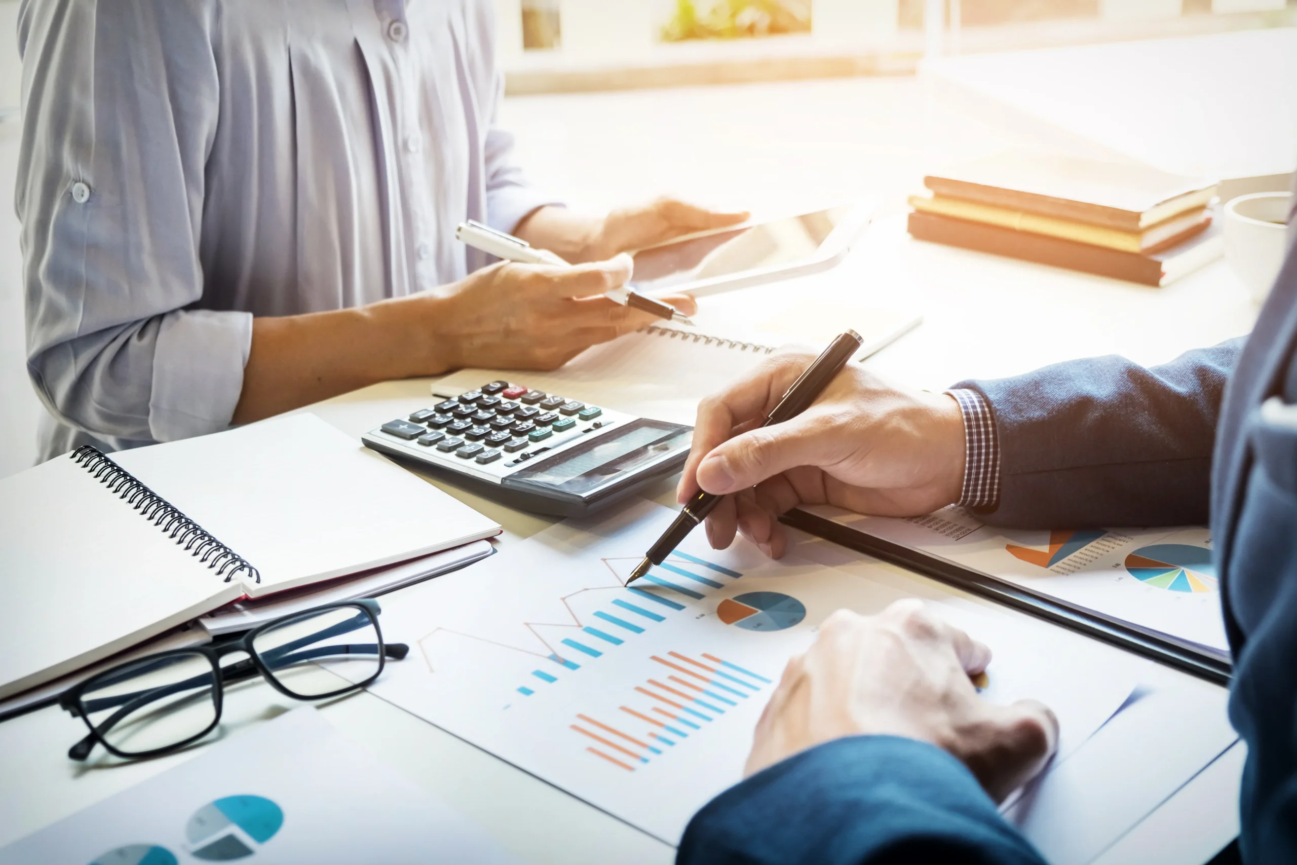 Audit Support